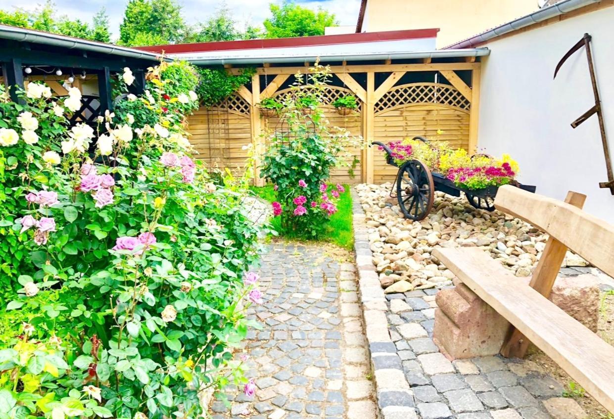 Ferienwohnungen Grimma 3 Exterior photo